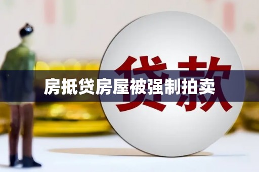 资源房抵贷房屋被强制拍卖